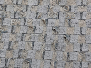 Curled Shingles