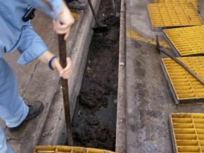 Our Additional Services